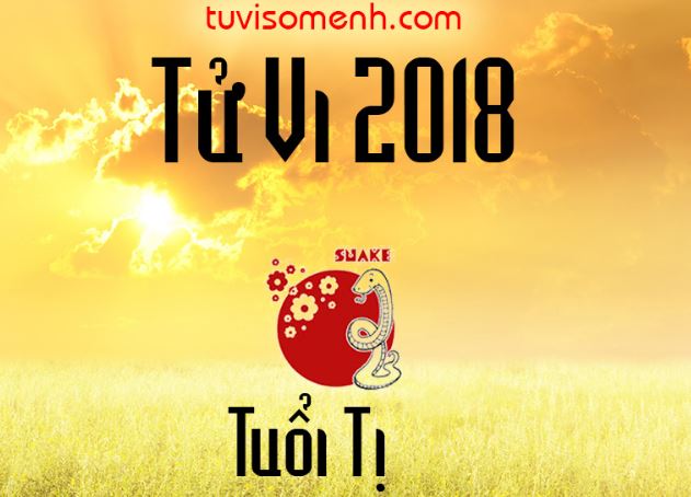 tu-vi-su-nghiep-tuoi-quy-ti-1966-nam-2018-nam-mang